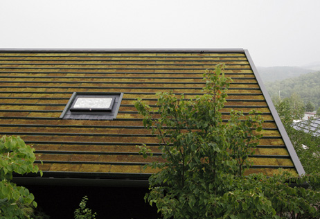 乾燥に強いスナゴケを屋根に施工することで屋根面の温度上昇を防ぐ屋根緑化などが採用されています。
